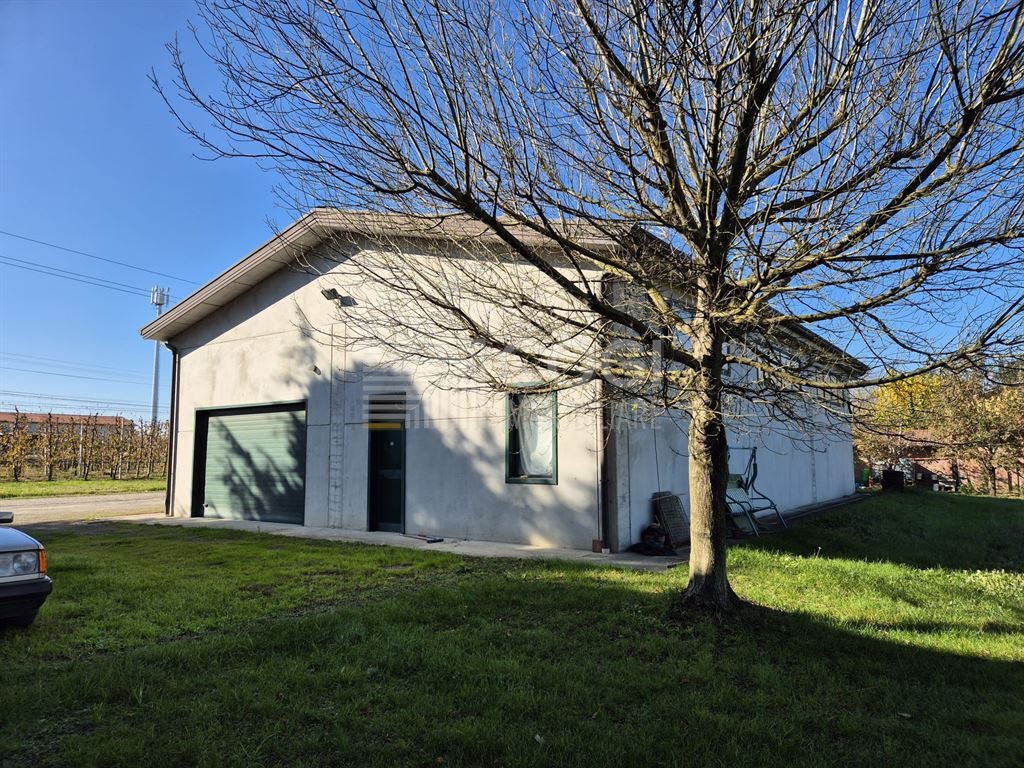 Magazzino di recente costruzione