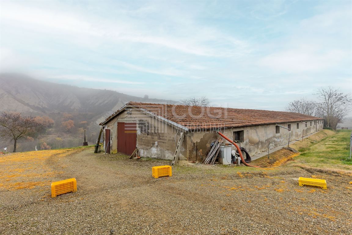 IMOLA - AMPIO FONDO AGRICOLO CON LAGHETTO E STRUTTURA DI SERVIZIO